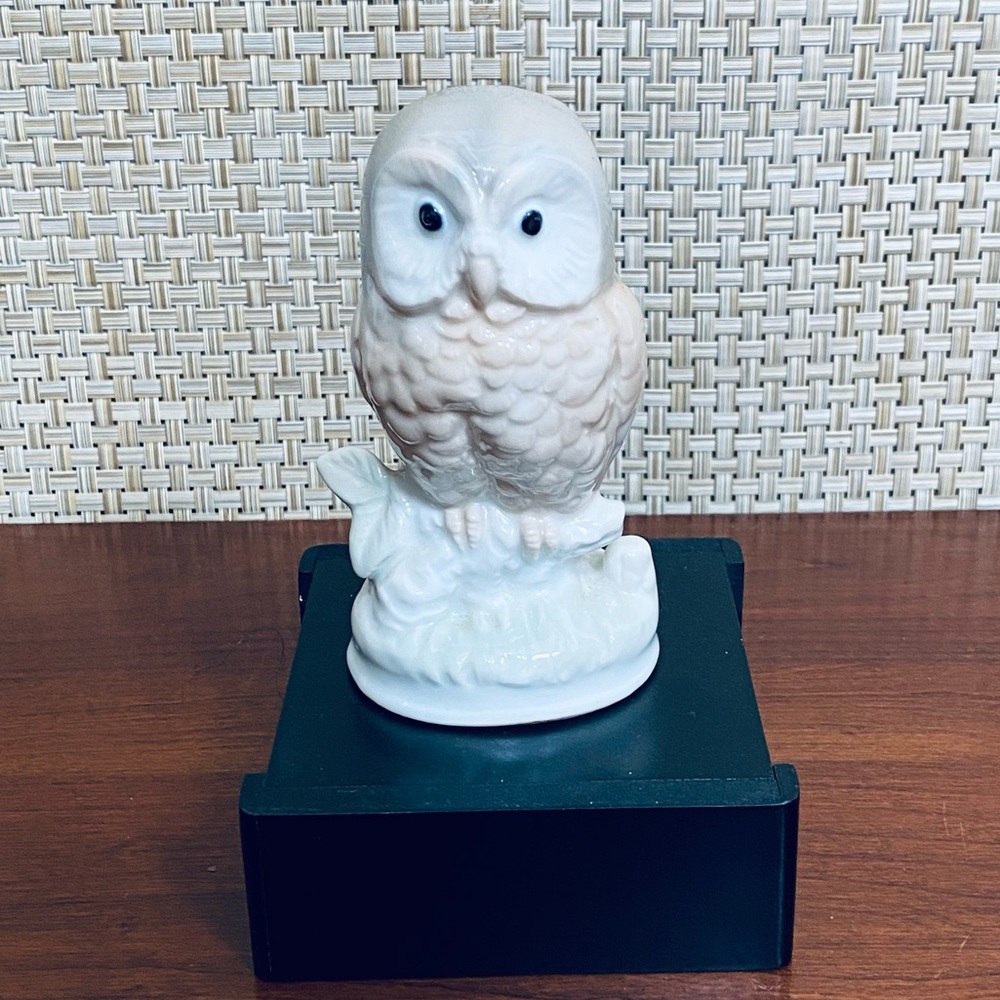 🌟HP🌟VTG 1980s Porcelain Owl Figurine